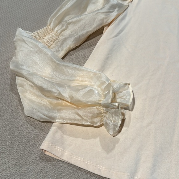 Anthropologie Puff-Sleeve Blouse - Picture 8 of 12